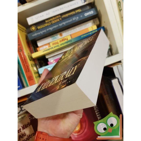 R. A. Salvatore: A kalózkirály (Átmenetek 2.) (Drizzt legendája 18.)