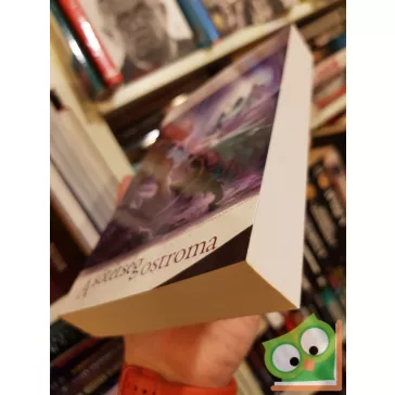   R. A. Salvatore: A sötétség ostroma (A drow öröksége 3.) (Drizzt legendája 9.)
