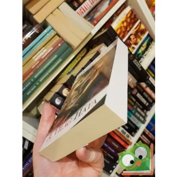   R. A. Salvatore: A Világ Háta (A sötétség útja 2.) (Drizzt legendája 12.)