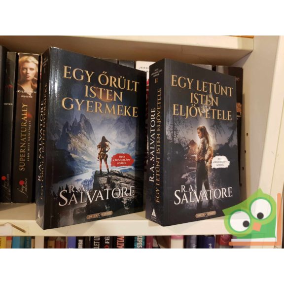 R. A. Salvatore - Egy letűnt isten eljövetele (Rege a Boszorkánykörről 2.)