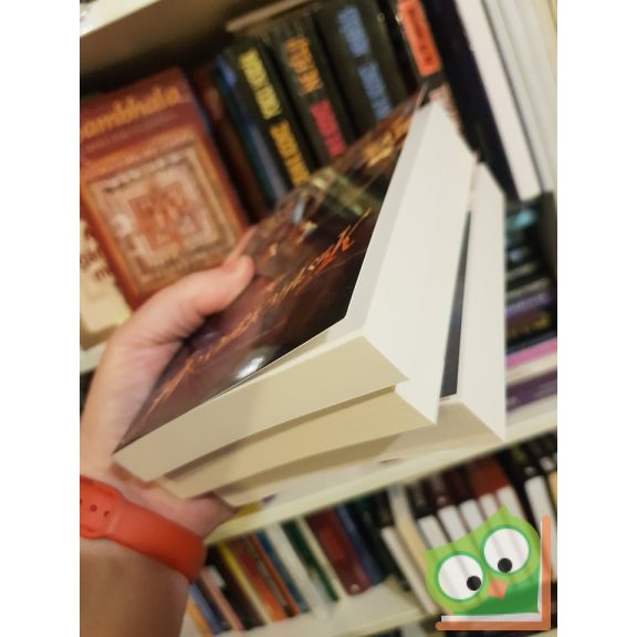 R. A. Salvatore - Geno Salvatore: Tymora köve trilógia (a 3 kötet egyben!)