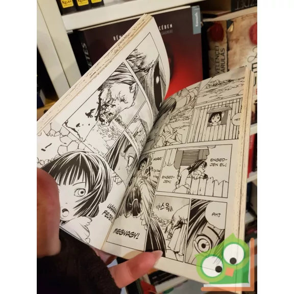 Pak Csonggi: Sámánharcos 1-2. (2 kötet együtt)