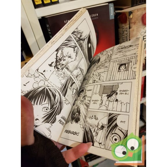 Pak Csonggi: Sámánharcos 2. (Sámánharcos 2.)