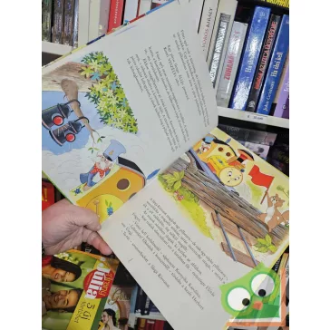 Hayden McAllister: A sárga kisvonat (Ritka)