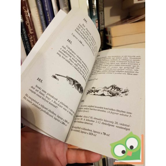 Alex R. Wermin: Sárkánykard (Harcos Képzelet Játékkönyvek)