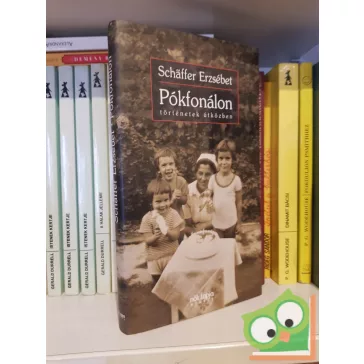 Schäffer Erzsébet: Pókfonálon (Történetek útközben)