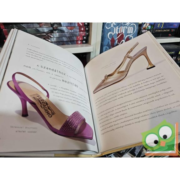 Schiffer Miklós: A stílusos nő