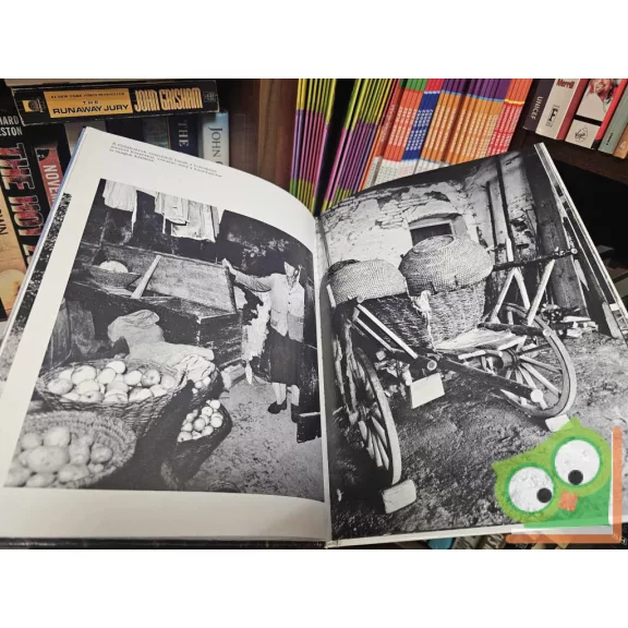 Schopper Tibor: Őrség