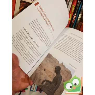 Wang Xuejun (szerk.): A selyemút története