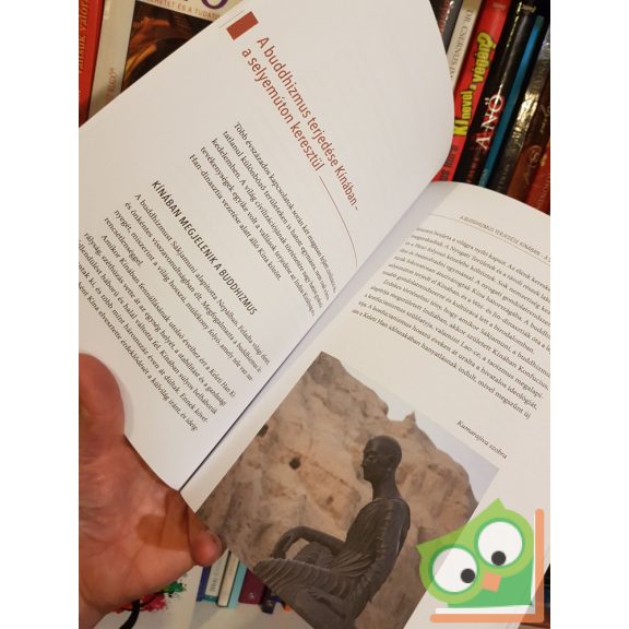 Wang Xuejun (szerk.): A selyemút története