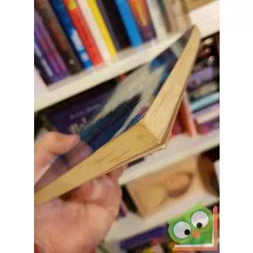 Shannon Duncan: Itt és most