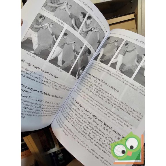 Yang Jwing-Ming: Shaolin Chin Na haladóknak (Mesterek és harci művészetek)