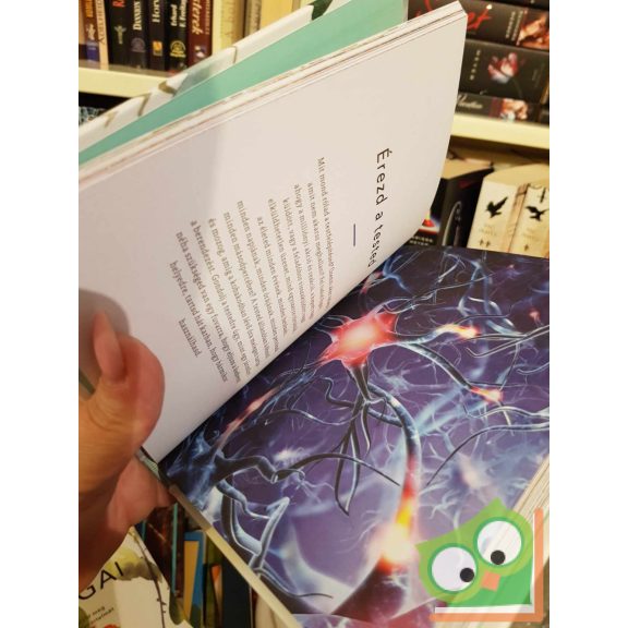 Oliver Luke Delorie: Shinrin-yoku - Az erdő gyógyító ereje (új könyv)