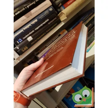   Simai Mihály, Gál Péter: Új trendek és stratégiák a világgazdaságban