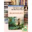 Margit Sandemo: Skandalum  (Jéghegyek Népe 27.) ritka