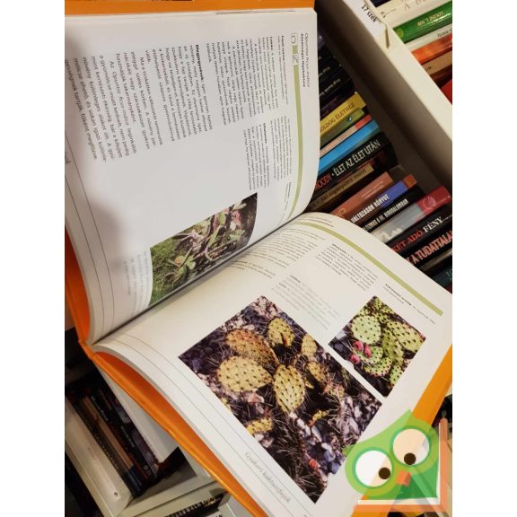 Gideon F. Smith: Kaktuszok és pozsgások