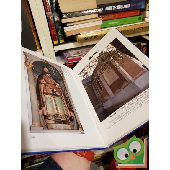 Horváth Zoltán György,  Gondos Béla: Somogy, Tolna és Baranya középkori templomai a teljesség igényével