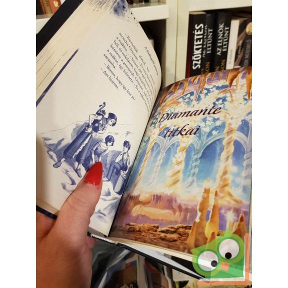 Tea Stilton: A sötétség hercegnője (A Fantázia Birodalmának hercegnői 5.)