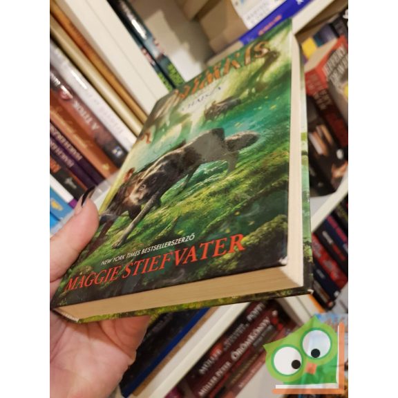 Maggie Stiefvater: A hajsza (Spirit Animals - Szellemállatok 2.)
