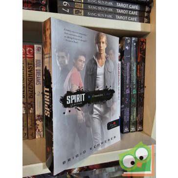   Brigid Kemmerer: Spirit - Szellem (Elementálok 3.) (Fine selection - Vörös pöttyös könyvek)