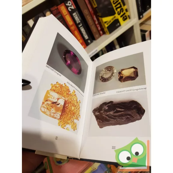 Evelyn Star: Gyógyító kristályok kincseskönyv