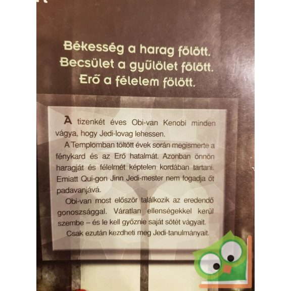 Dave Wolverton: Az ébredő Erő (Star Wars: Jedi-növendék 1.)