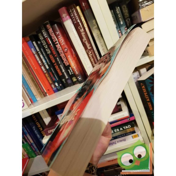 Danielle Steel: Kisemmizve (ritka)