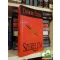 Danielle Steel: Szerelem