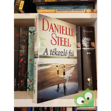 Danielle Steel: A tékozló fiú