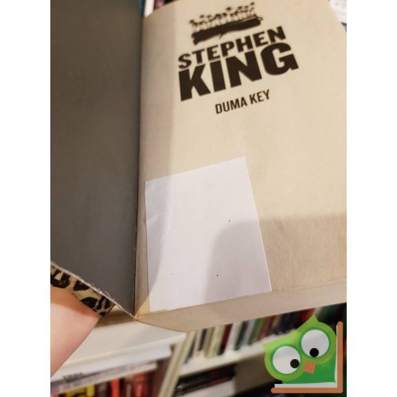 Stephen King: Duma Key (ritka kiadás, a gerince ép )
