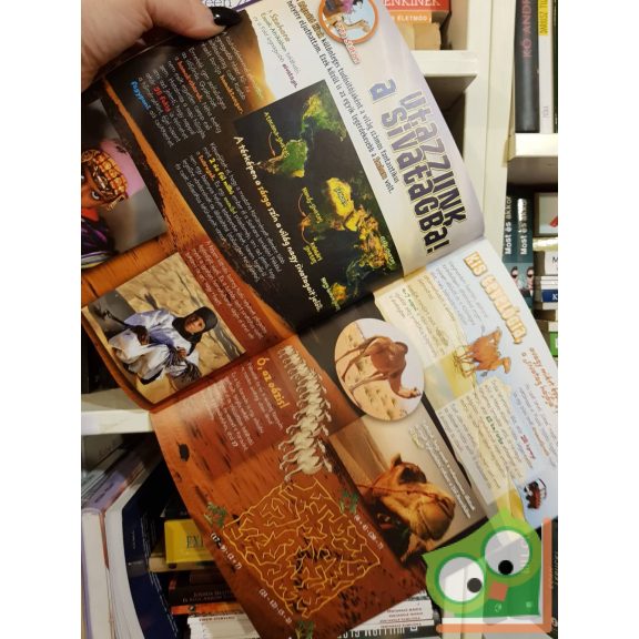 Geronimo Stilton: Vágtass velem a vadnyugaton! - 2013. január