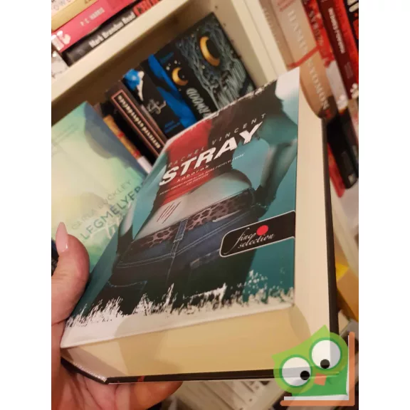 Rachel Vincent: Stray - Kóborok (Vérmacskák 1.) (ritka) (Vörös pöttyös könyvek, Fine Selection)