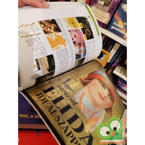 Szűr Krisztina: Stylist kézikönyv 2. (ritka)