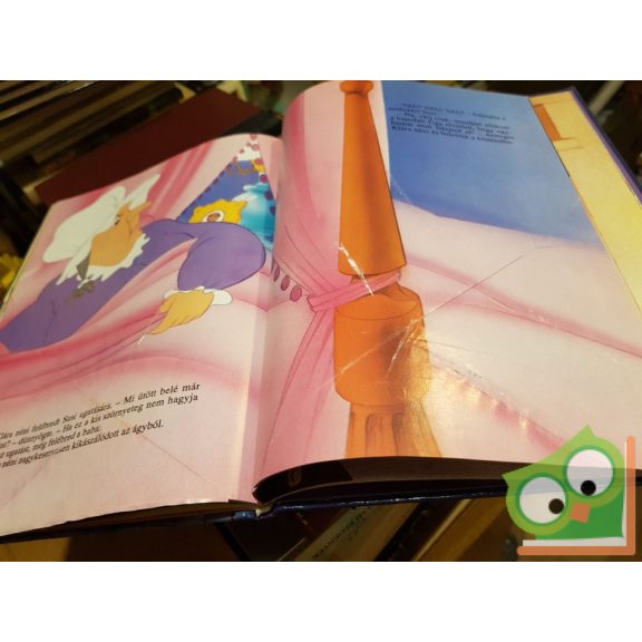 Walt Disney klasszikus mesék - Susi és Tekergő