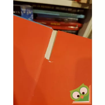Csukás István: Süsü, a sárkány