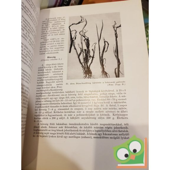 Manninger G. Adolf: Szántóföldi növények állati kártevői