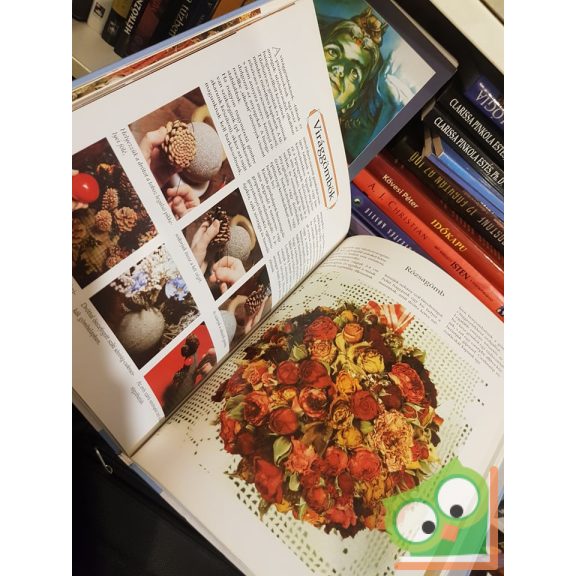 Rosemie Strobel-Schulze: Szárazvirágok