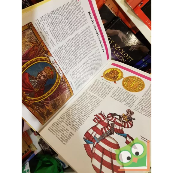 Katona Imre József (szerk.): Száz rejtély a magyar történelemből