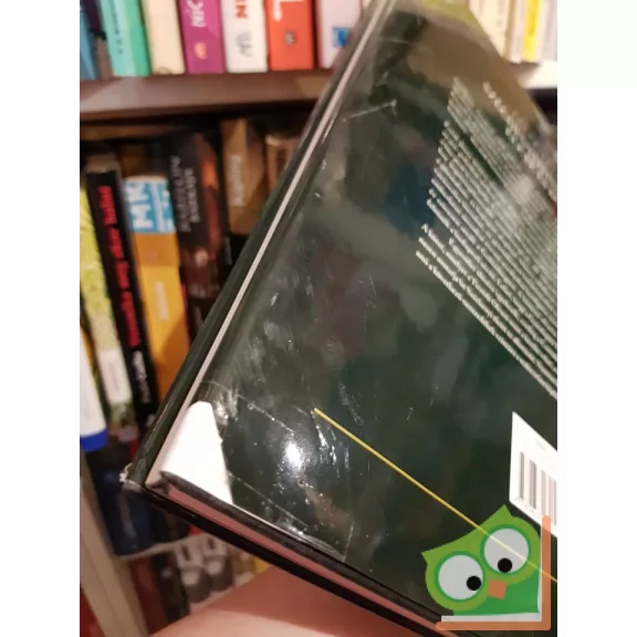 Estók János: Széchenyi István gróf élete és kora