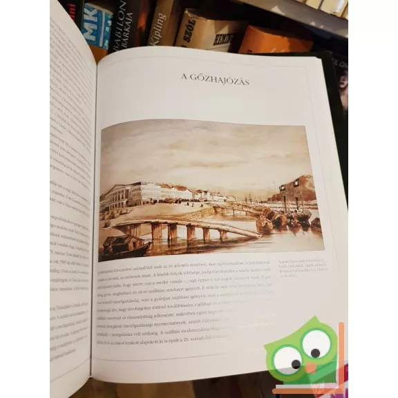 Estók János: Széchenyi István gróf élete és kora