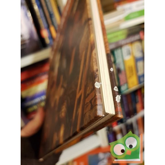 Bakó Zsuzsanna: Székely Bertalan (A magyar festészet mesterei)