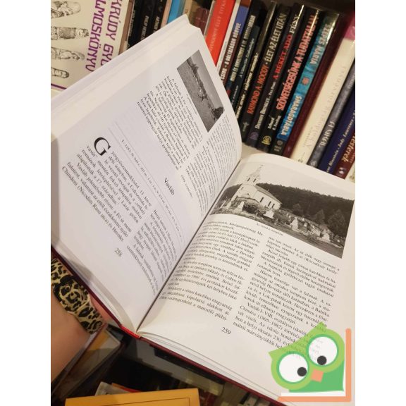 Sepsiszéki Nagy Balázs: Székelyföld falvai a huszadik század végén II. (ritka)