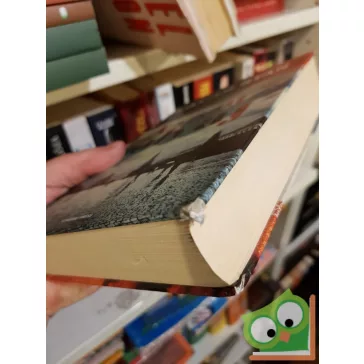 William Ryan: A szent tolvaj (A szent tolvaj 1.)