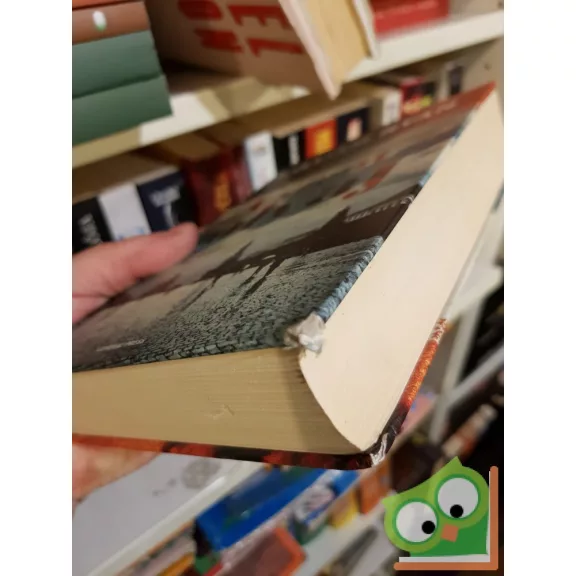 William Ryan: A szent tolvaj (A szent tolvaj 1.)