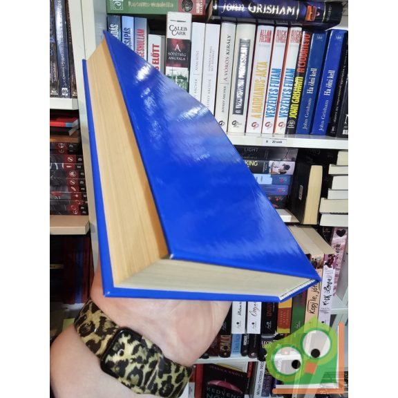 Kathleen McGowan: A szeretet könyve - Jézusi titkok nyomában (ritka)