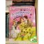 Jakob Grimm - Wilhelm Grimm: A széttáncolt cipellők (keménylapos) (Csodálatos rózsaszín mesék)