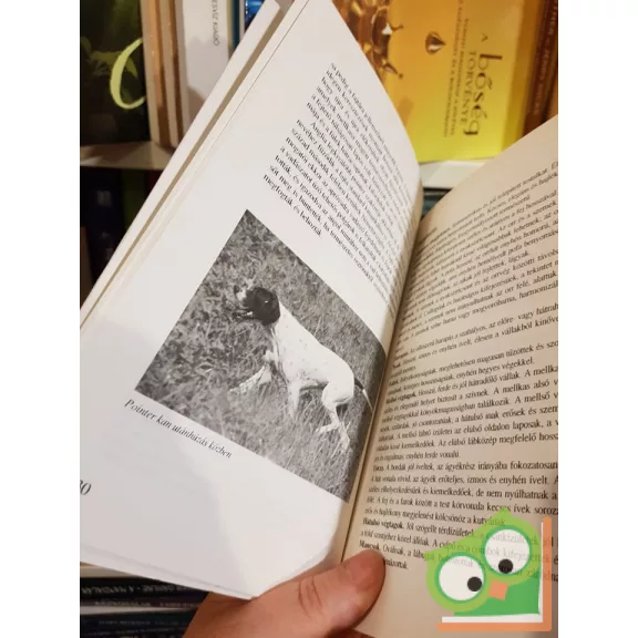 Reinhold Rothweiler, Herfried Steidl: Szetter és pointer