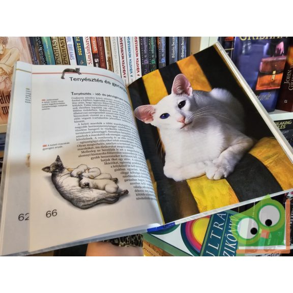 Eva-Maria Götz, Gesine Wolf: Sziámi és társai