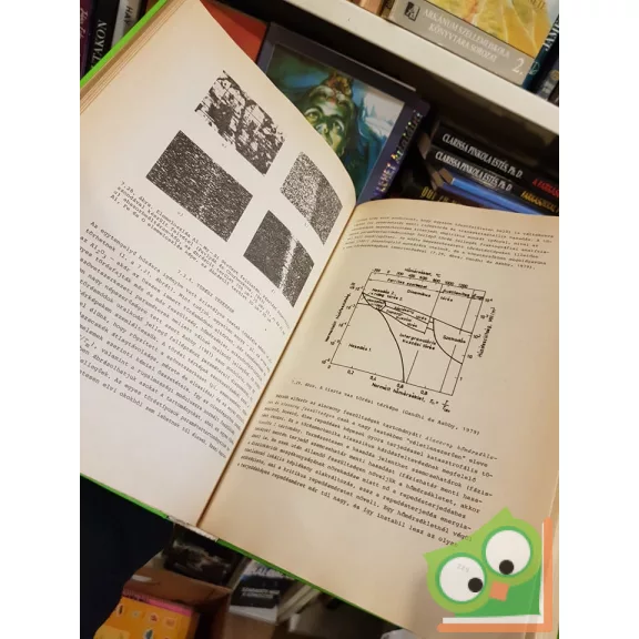 Giber János és szerzőtársai: Szilárdtestek felületfizikája