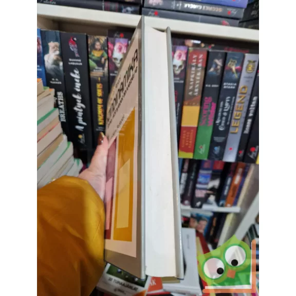 Nemcsics Antal: Színdinamika színes környezet tervezése